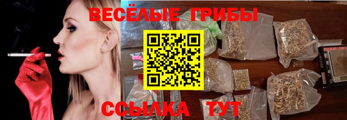 Берёзовский  Галлюциногенные грибы MAGIC MUSHROOMS  Вход с VPN 